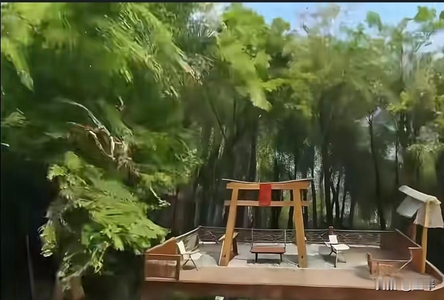 文学哪有那么高冷？名家带你嚼出文字里的“味儿”，酸的甜的苦的辣的，全是生活的真滋