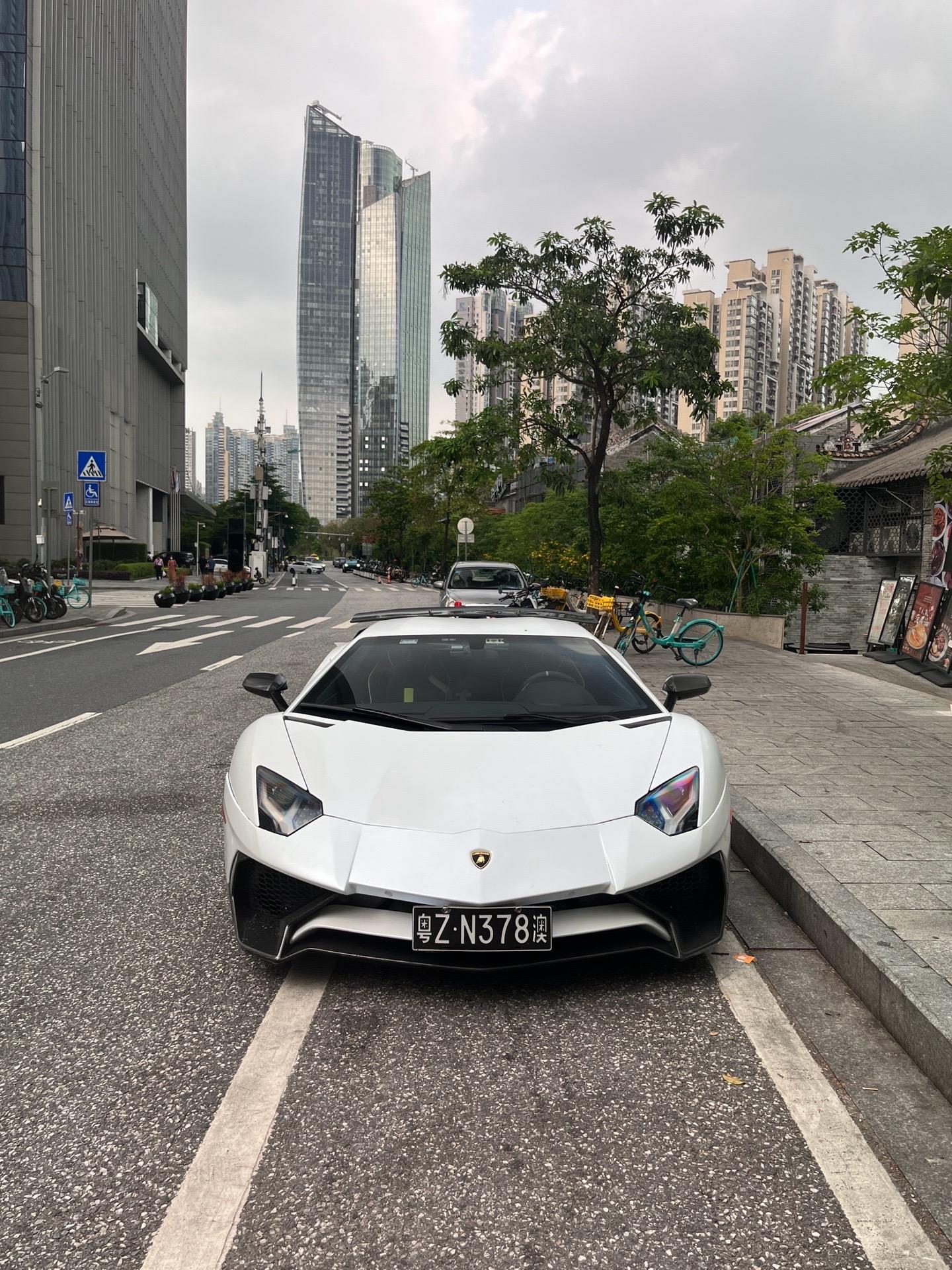 如果生活是一滩烂泥，我希望是兰博基尼