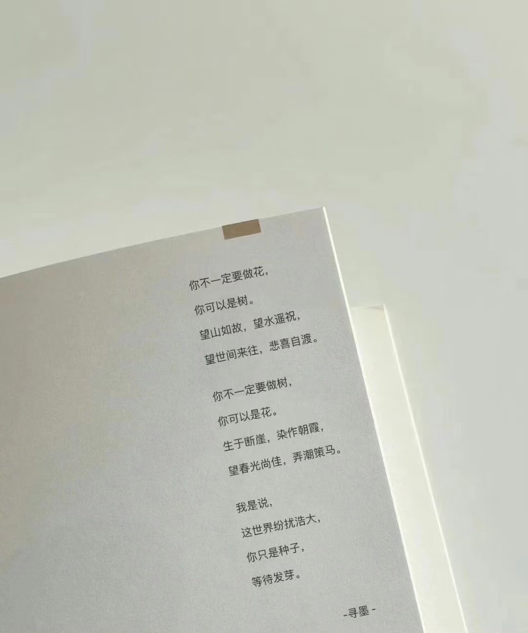 这世界纷扰浩大你只是种子等待发芽～ ​​​