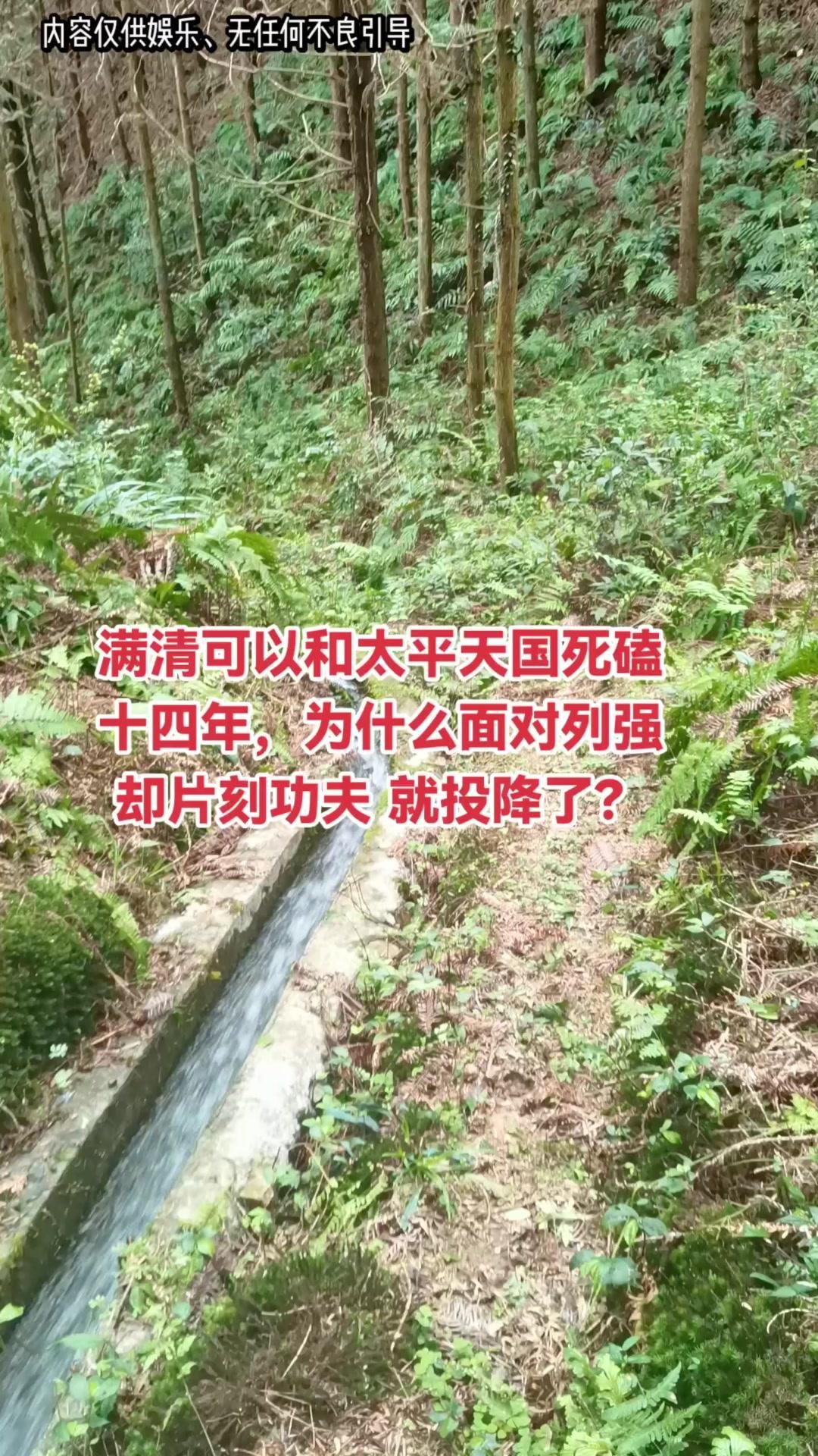 为什么清朝能抗太平天国却很快降列强？🍃满清对抗太平天国有独特优势，内部有曾国藩