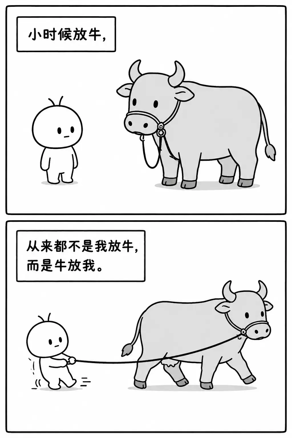 小时候放牛，从来都不是我放牛，而是牛放我