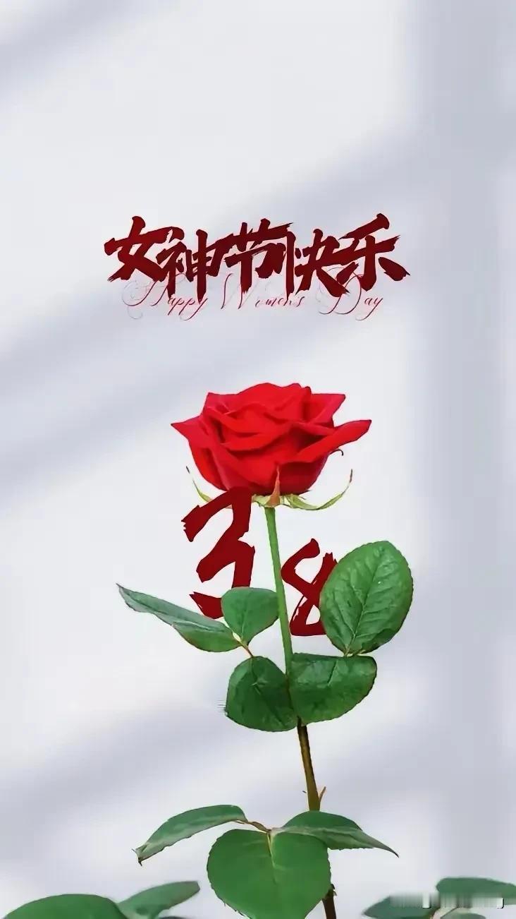 岁月增优雅，

时光铸芳华。

青春正当时，

每段美好，如约而至。

祝女神节