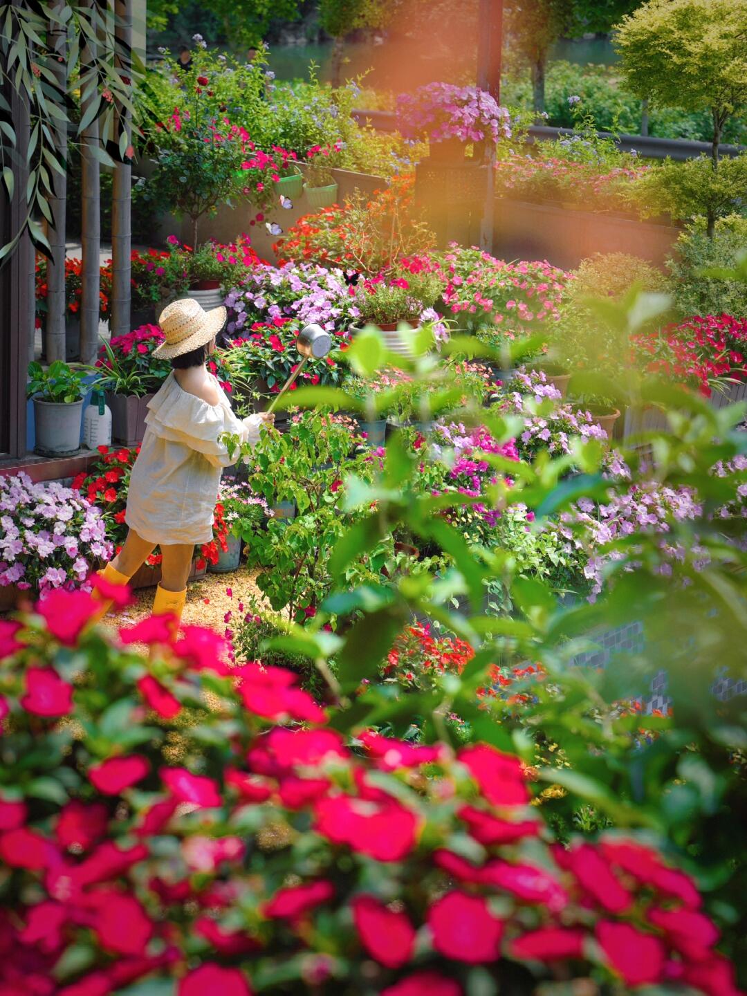 天台山秘境里的莫奈花园，台州徒步路线攻略