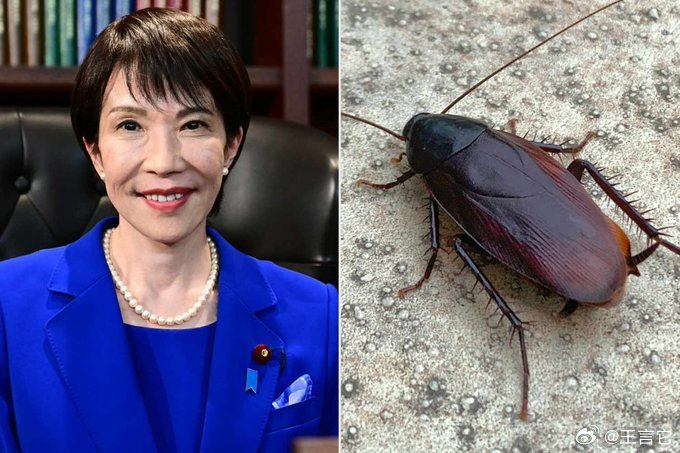 🪳 “我孤独到和蟑螂交朋友”：日本首相自述      在一次工作会议中，高市早