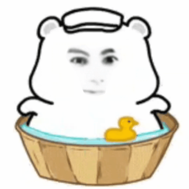 今天的棣棣： 