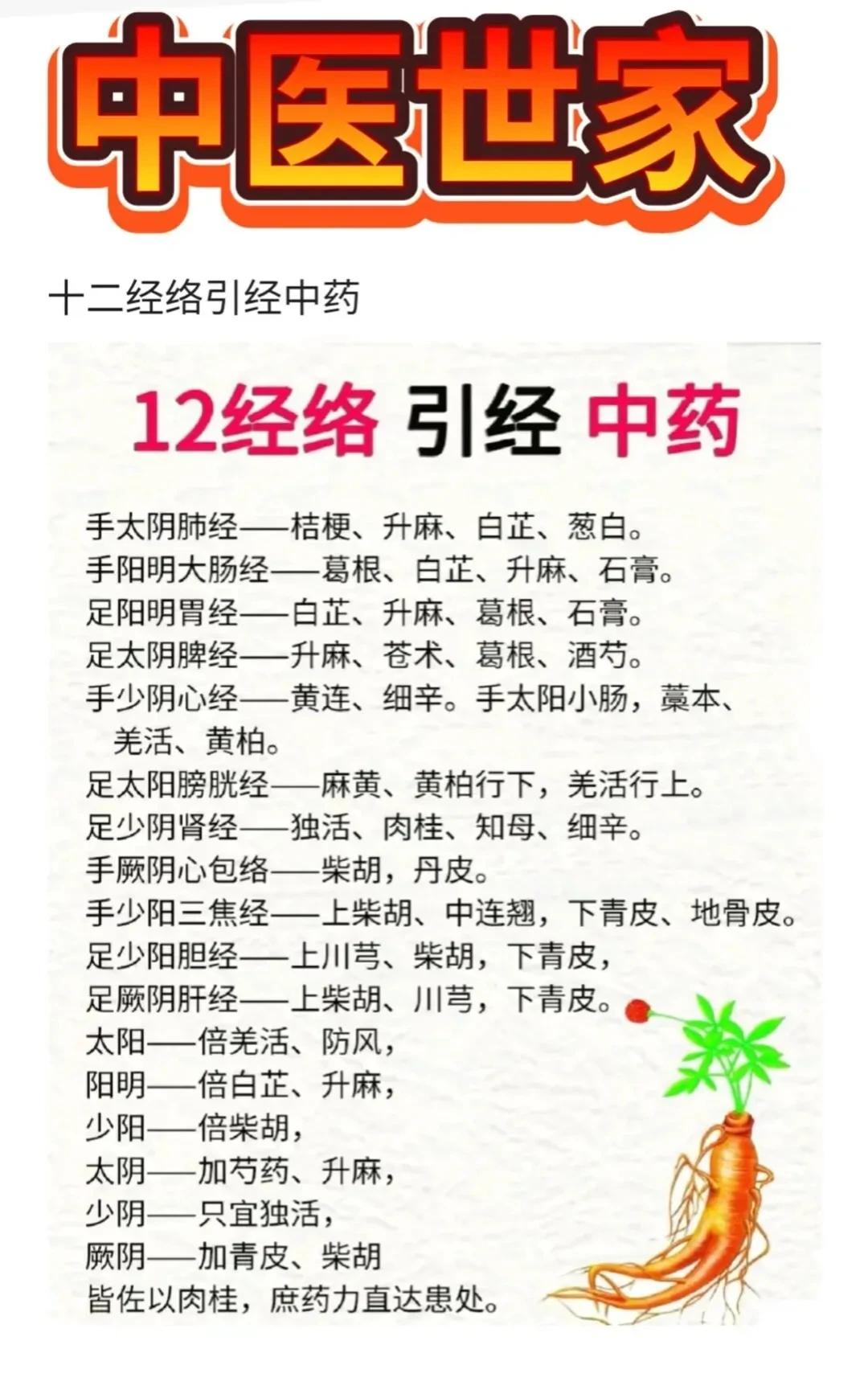 你是不是对中医的十二经络和引经中药感到好奇？今天我们就来一起探讨一下这个神秘而又