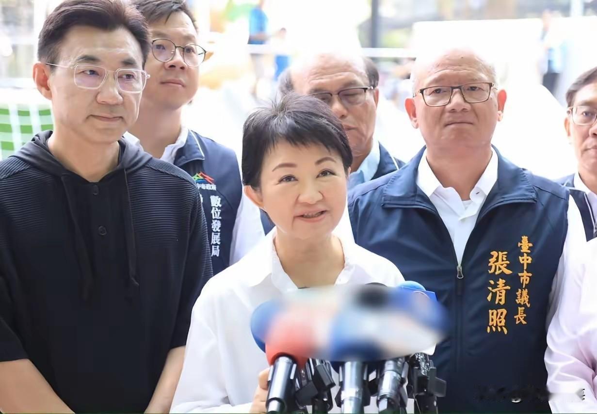 郑丽文前脚刚道歉压下风波，卢秀燕后脚就公开搅局——现在的国民党，到底谁说了算？