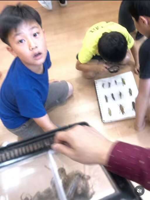 话说回来这几张图这居然是AI（好吧还是很明显的） 