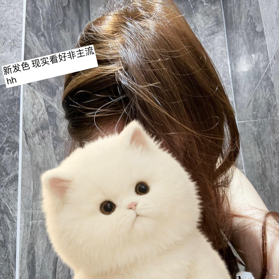 [羞嗒嗒] ​​​