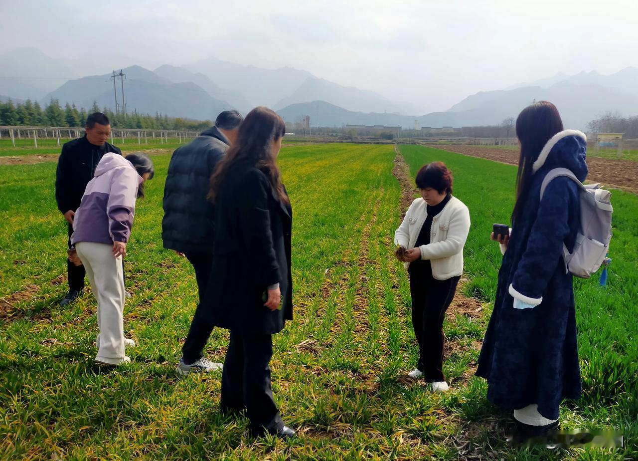 【三八春耕进行时，巾帼逐梦兴乡村】3月7日下午，周至县农业农村局农机校高素质农民