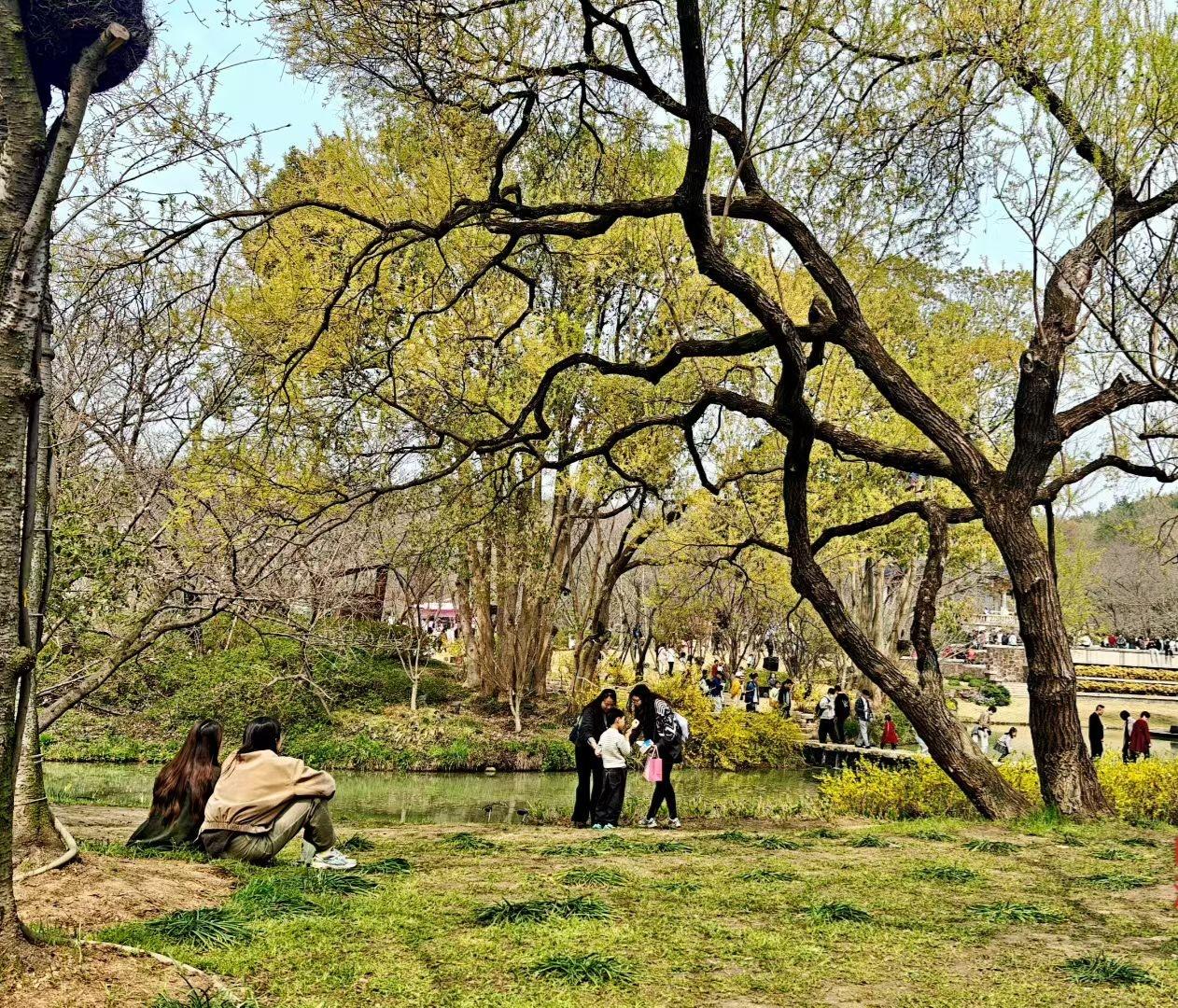 春日生活打卡季春日渐暖，老树抽了新绿，湖水泛着柔光。有人静坐看风，有人结伴嬉闹，