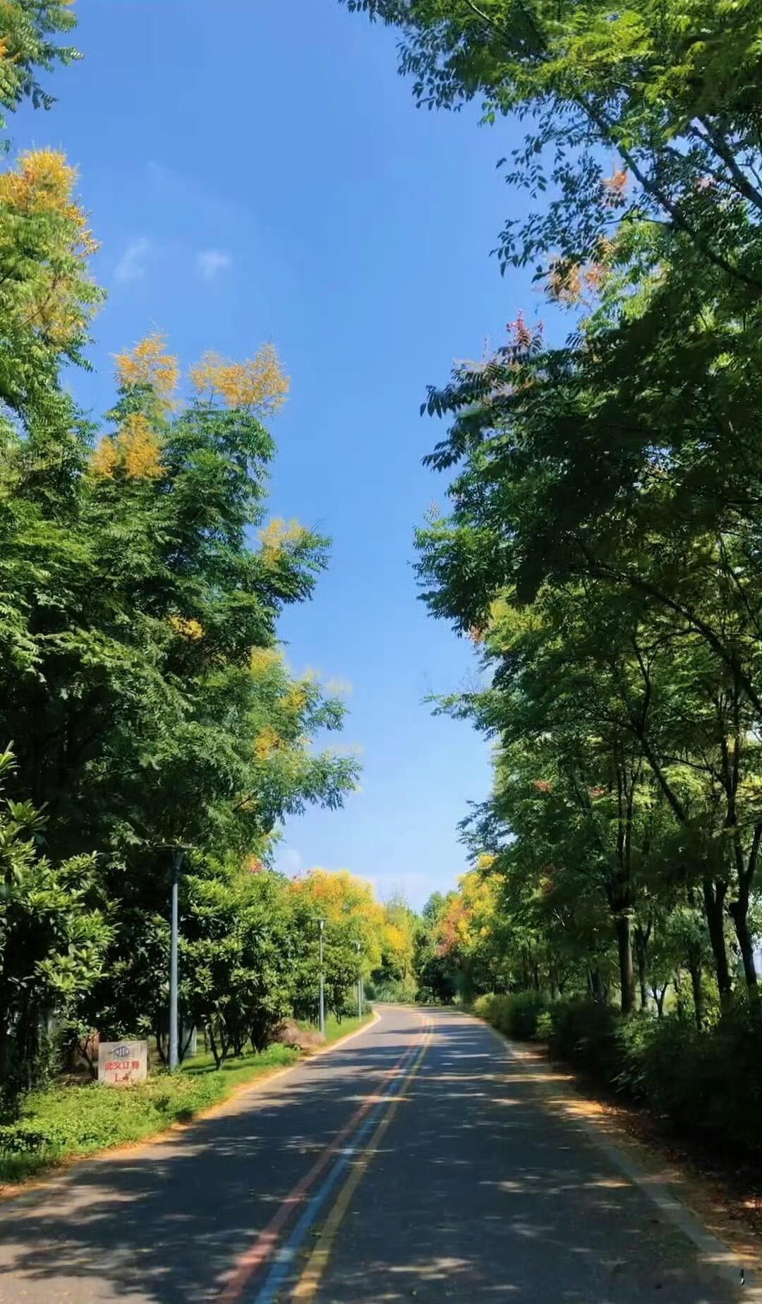 节日出门走走

十一长假的快乐