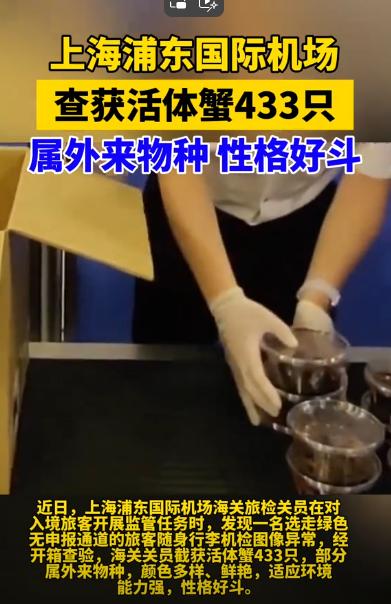 又一外来物种险些入侵我国！上海浦东机场一行李箱里疑似有活物，经开箱查验，共查处非