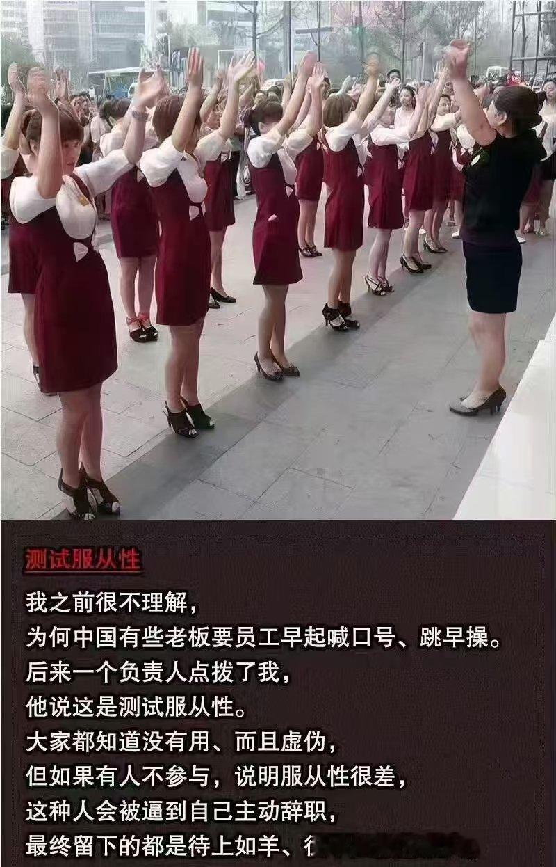 看图说话 【企业花里胡哨的搞法，原来都是服从性测试】 