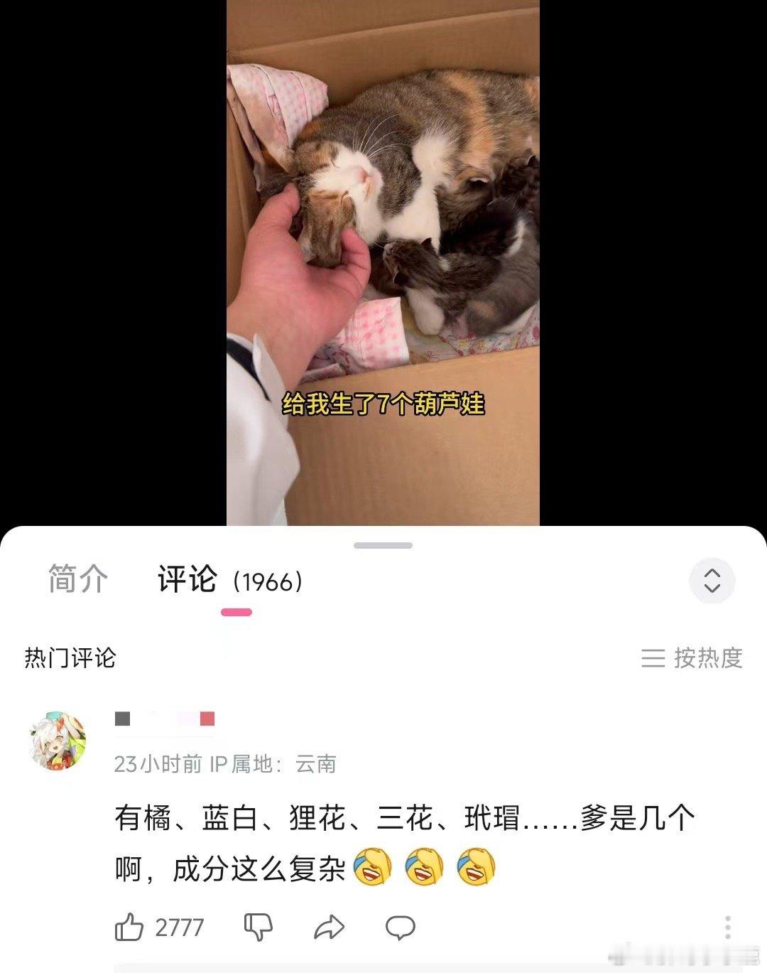民间艺术观察