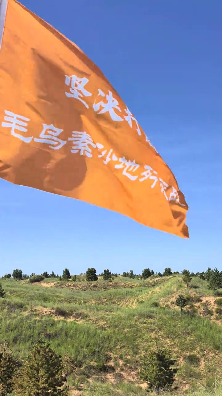 这个就是清华大学校友在十年前种的树木，这叫十年树木，百年树人。这树木都长得这么高
