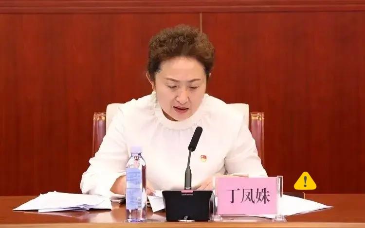 北方小年前夕的一条大鱼出水，这次是在哈尔滨，医疗领域的权威专家。
丁凤姝，因严重