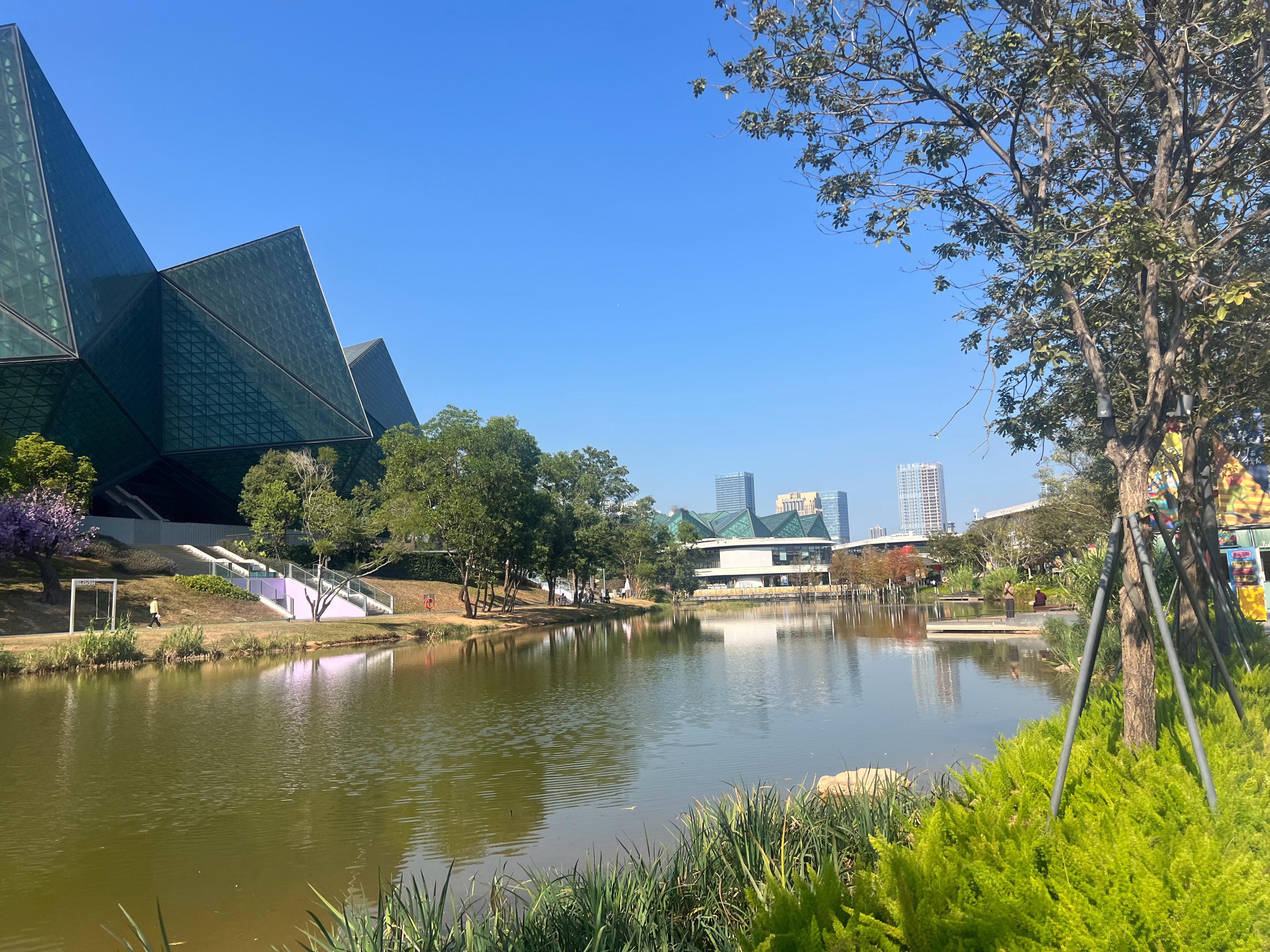 成年人的世界只做选择，不教育，只渡有缘人，白天偷睡晚上漏睡