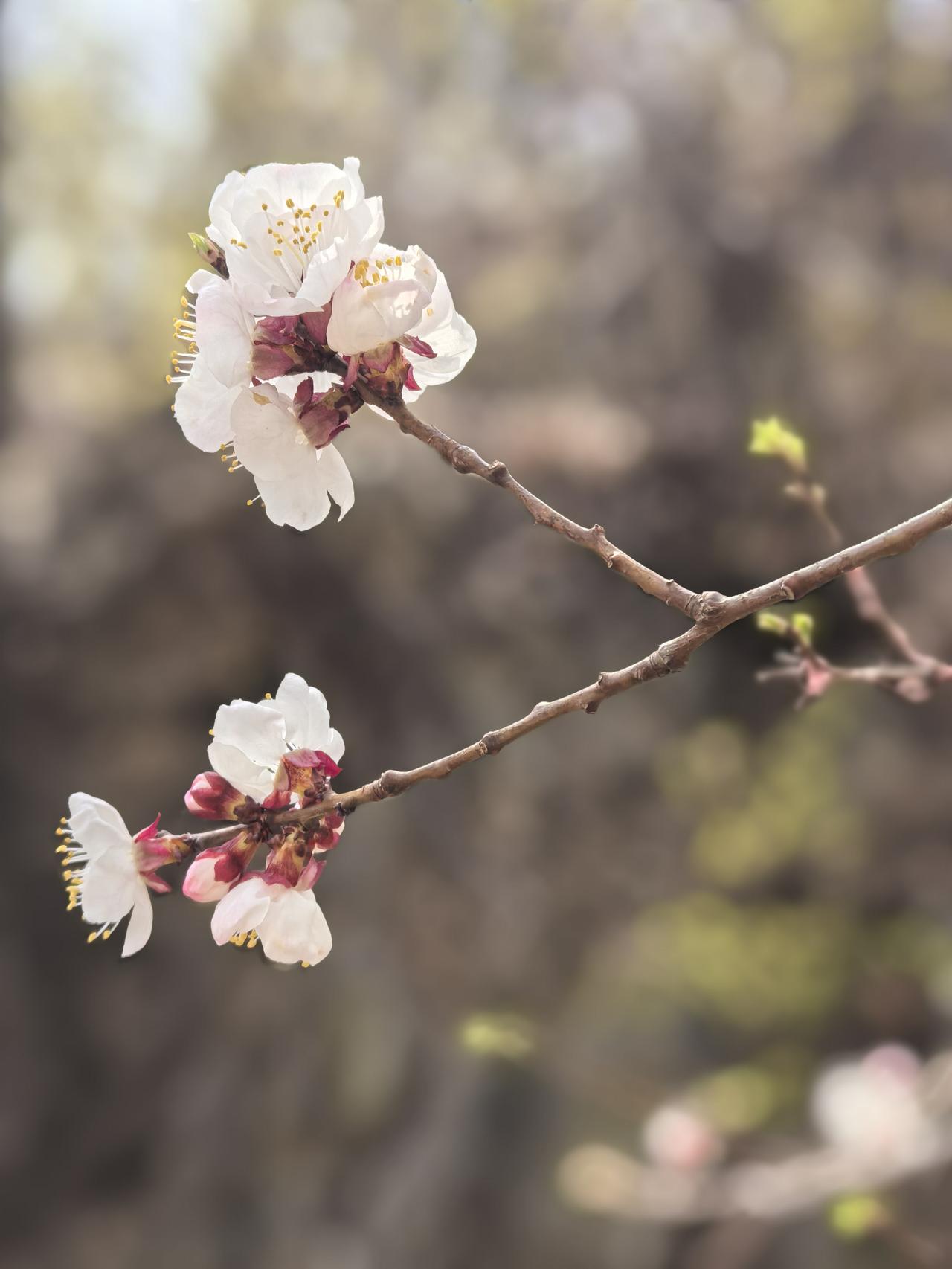 交易的核心是执行力
四月份，市场总体是上升趋势，创业指数创了新高，但是赚钱的人估