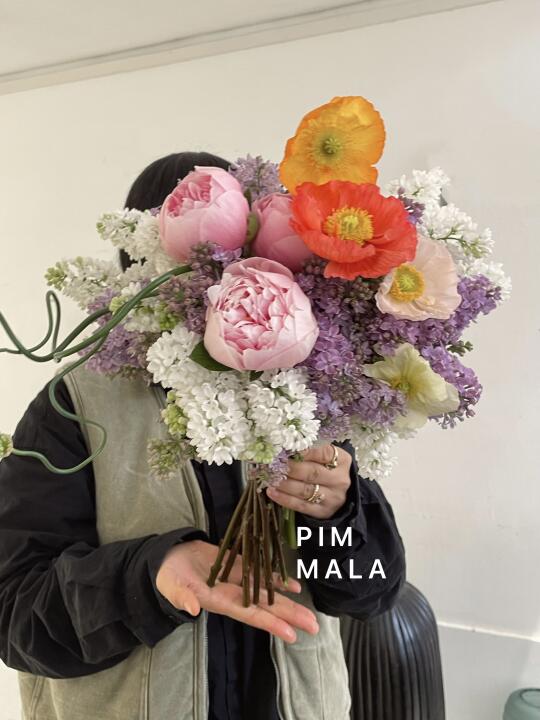 PIMMALA｜猜猜有几张图