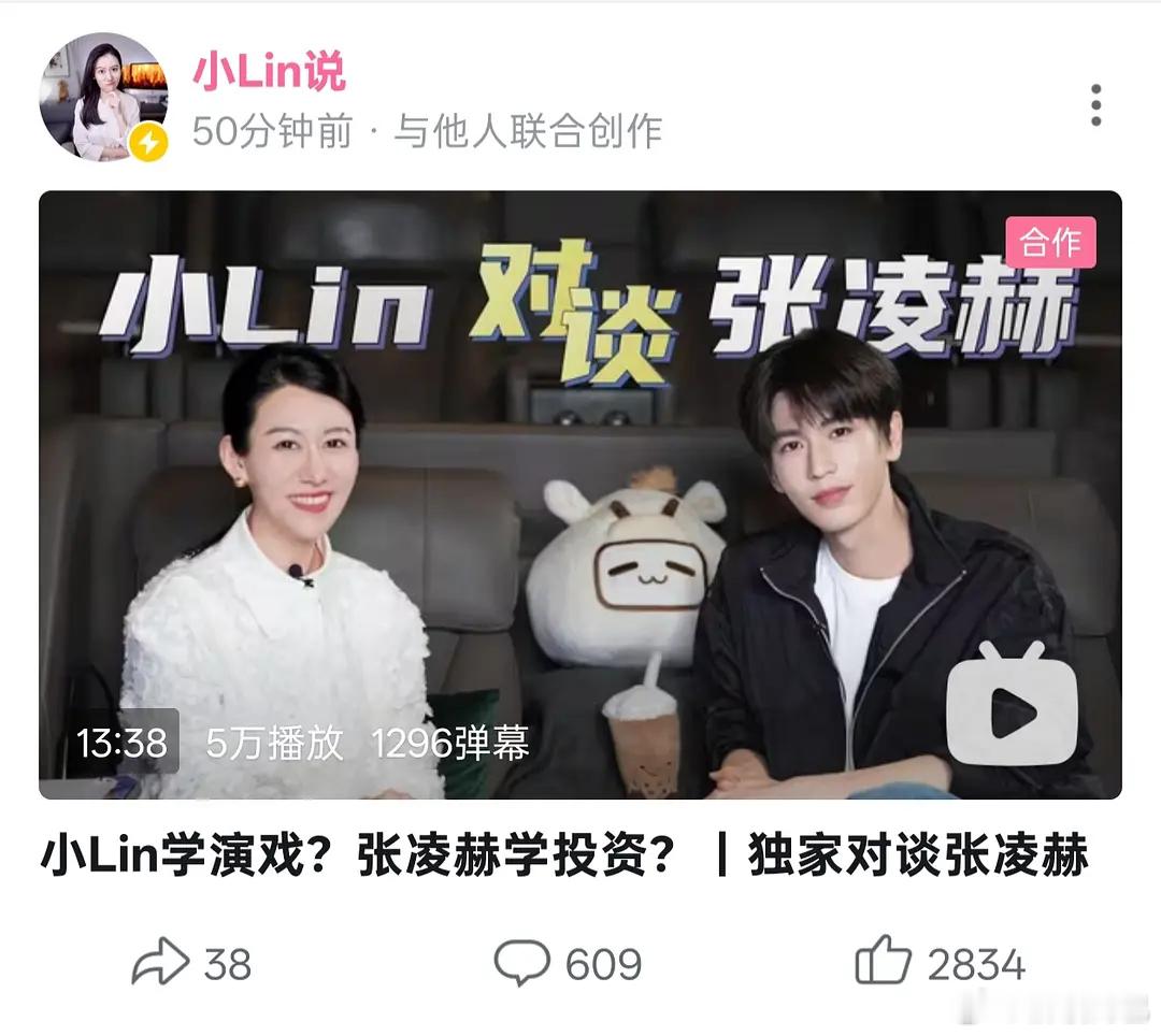 我去 次元壁破了小Lin说独家对谈张凌赫 