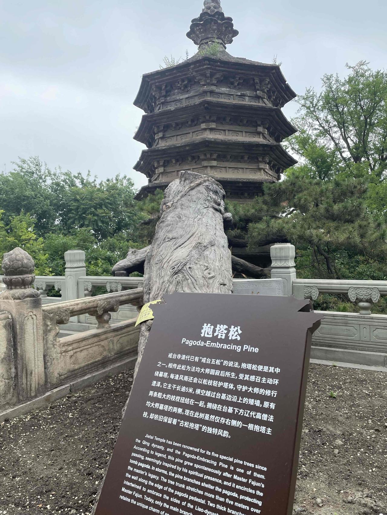 古松、古塔、险坡、瀑布、明石牌坊、大峡谷、炮楼……