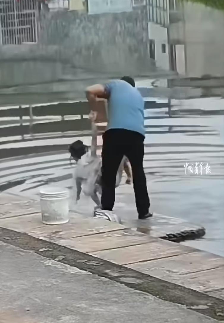 这个3岁小姑娘，跟着爷爷去池塘边洗手，结果自己先“洗了个澡”——幸好爷爷耳朵灵，