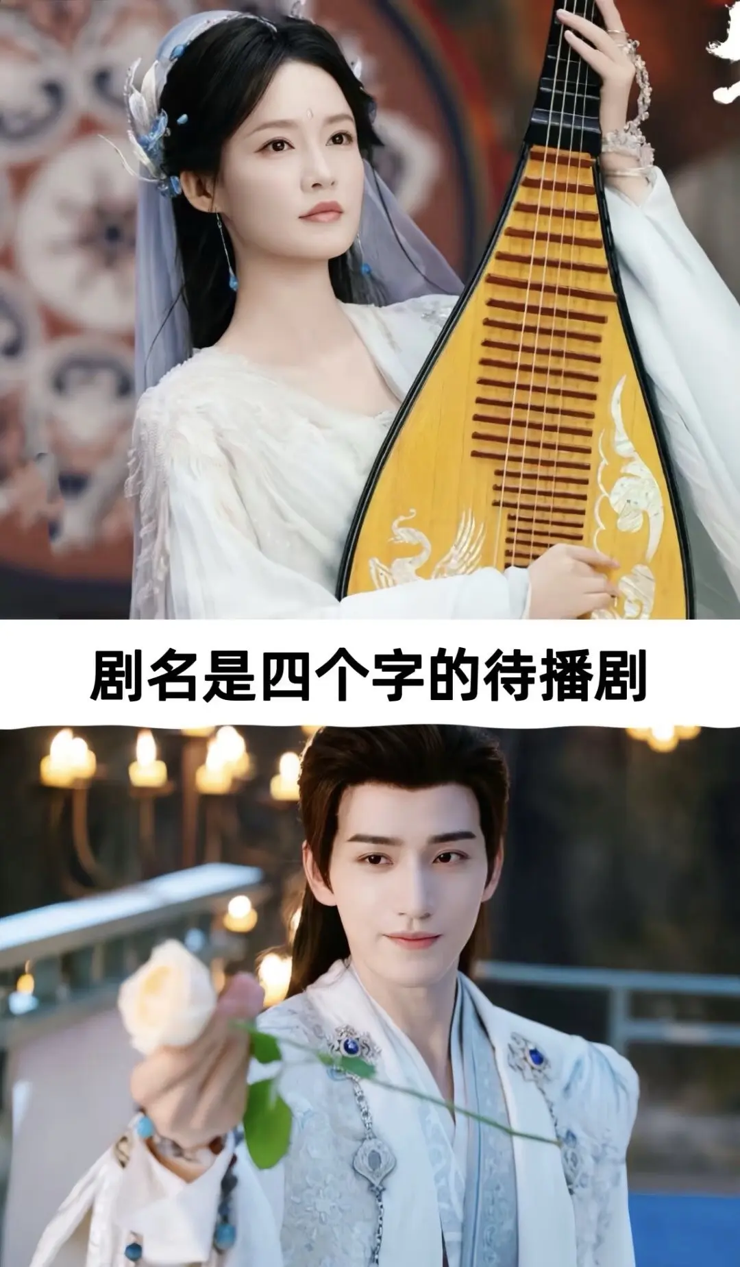 剧名四个字的待播剧。