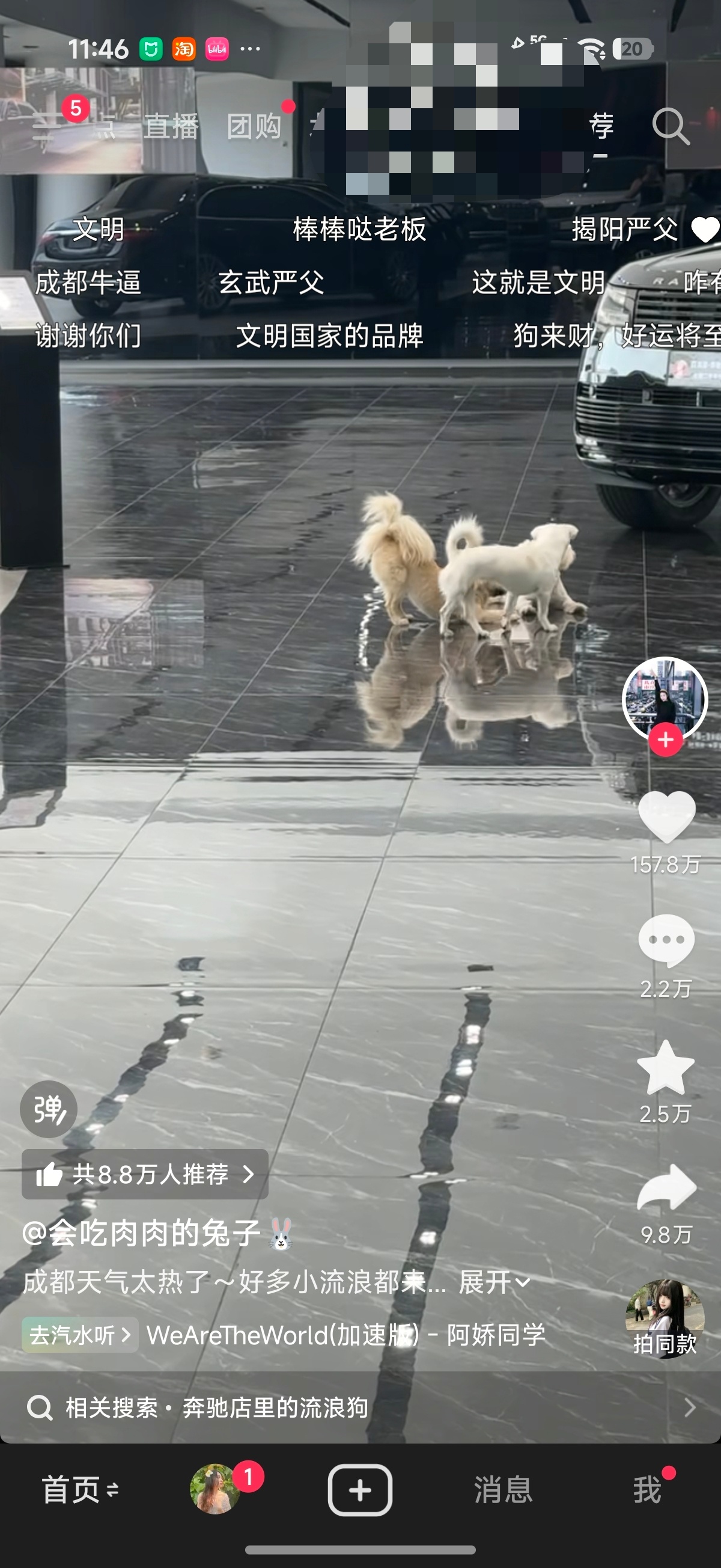 ……可能我比较特殊如果我带孩子去看车进4S店发现大厅有流浪狗我直接转头就跑骗你的