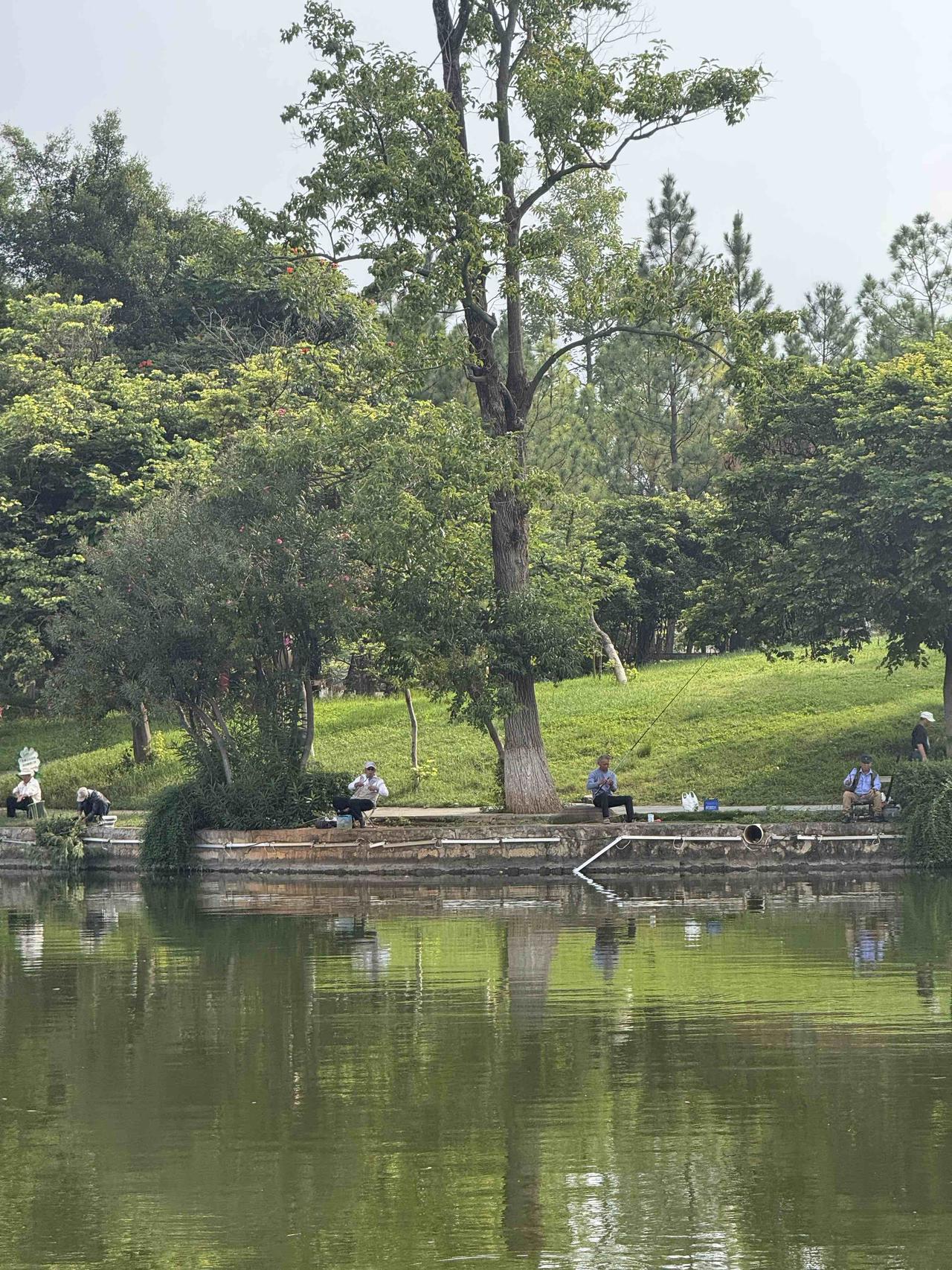 学学弥勒对湖泉的管理。一个州府所在地，一个有这么多故事的地方，为什么输给了弥勒？