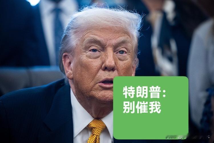 特朗普：别催我

   据外媒美国有线电视新闻网（CNN）报道，当地时间4月23