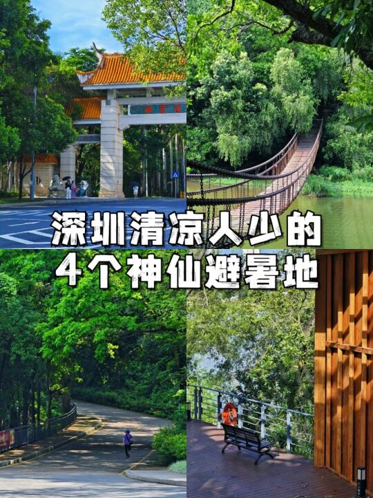 深圳4个清凉人少的神仙避暑地🌿