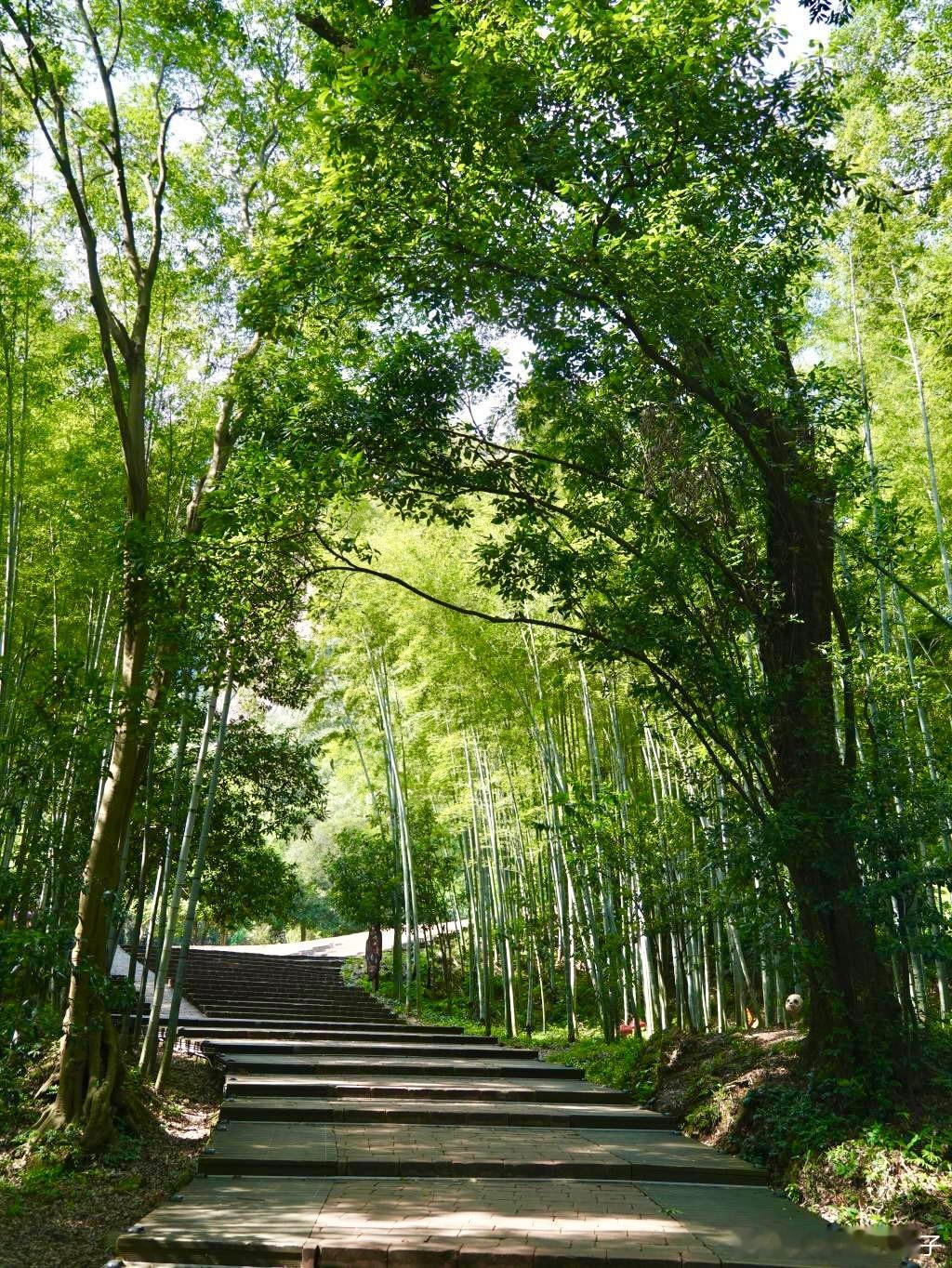 人要多去没有天花板的地方穿梭于树林之间躺在草地看天空都能感受到满满的生命力。-在