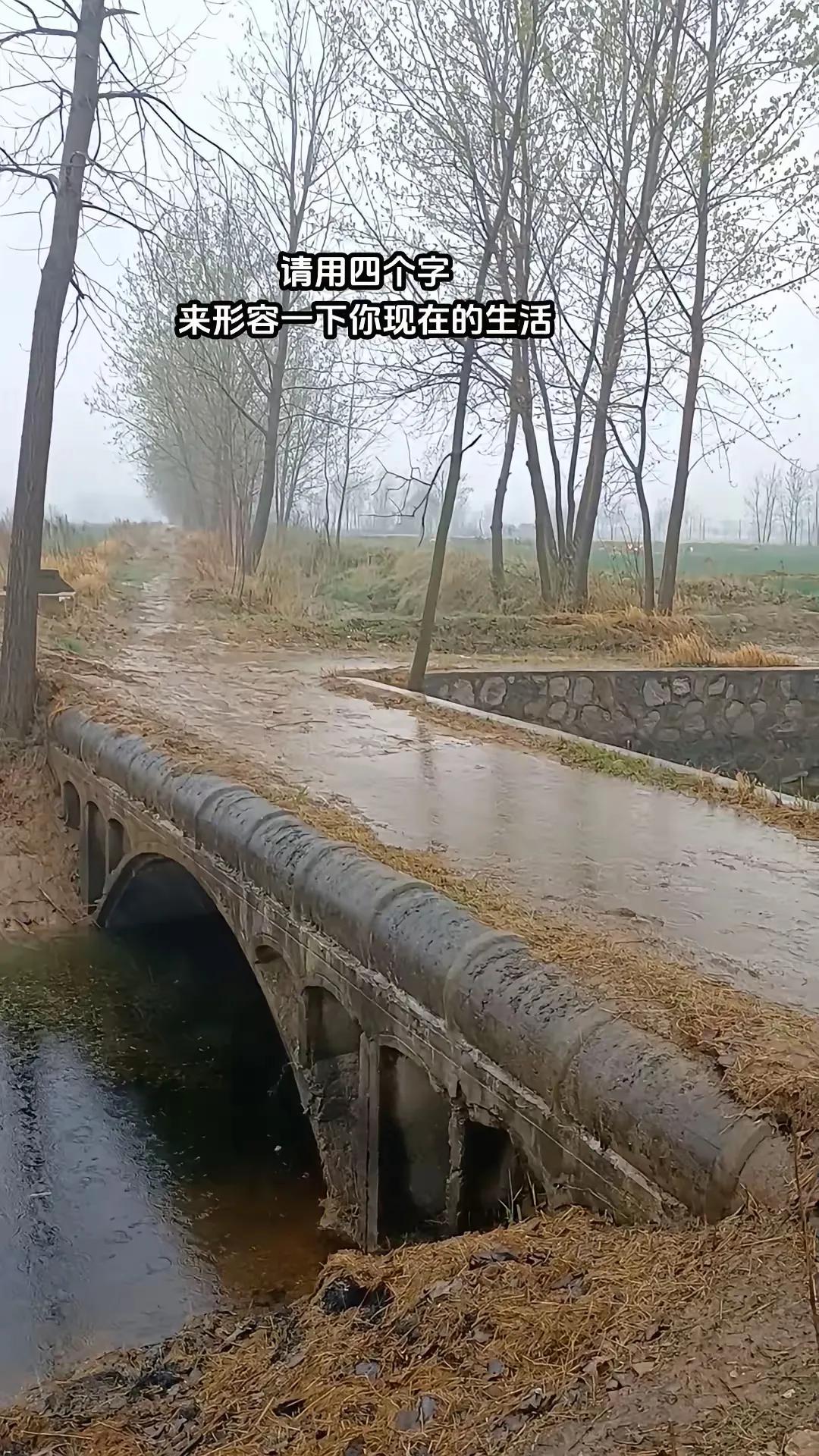 这样的地方我能待一下午，突然感觉很心安，你现在过的好吗？请用四个字形容一下你现在