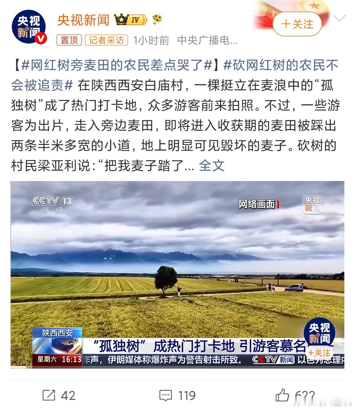 网红树旁麦田的农民差点哭了网红带来了流量带来热度，但是网红走后留下一地鸡毛，最终