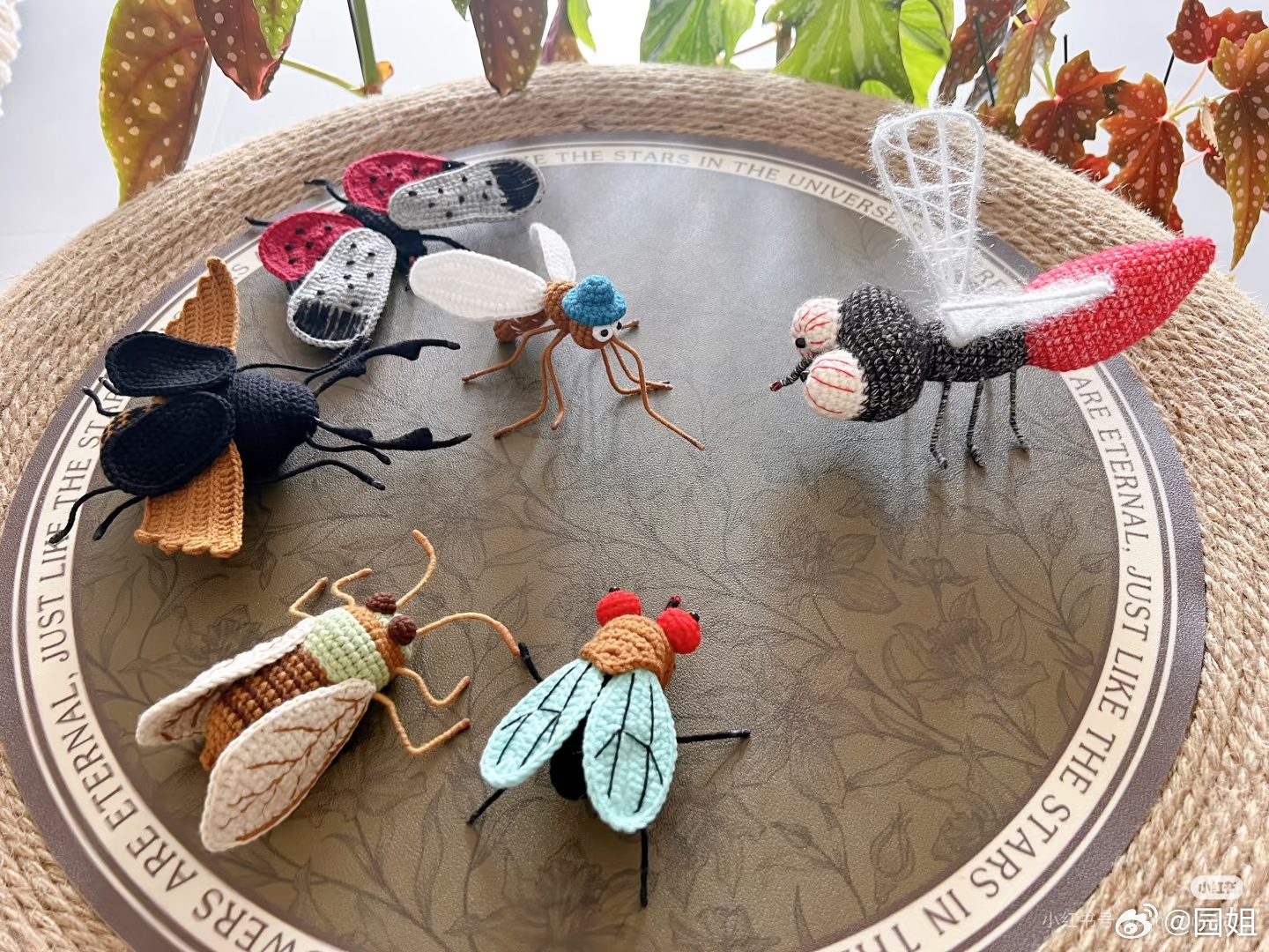 小红书上看见钩织昆虫的。感觉有点可爱啊。回去给长公主做一个