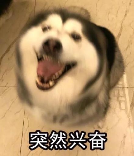 啊啊啊啊啊啊啊啊啊啊啊本赌狗赌对了啊啊啊啊上海见！ 