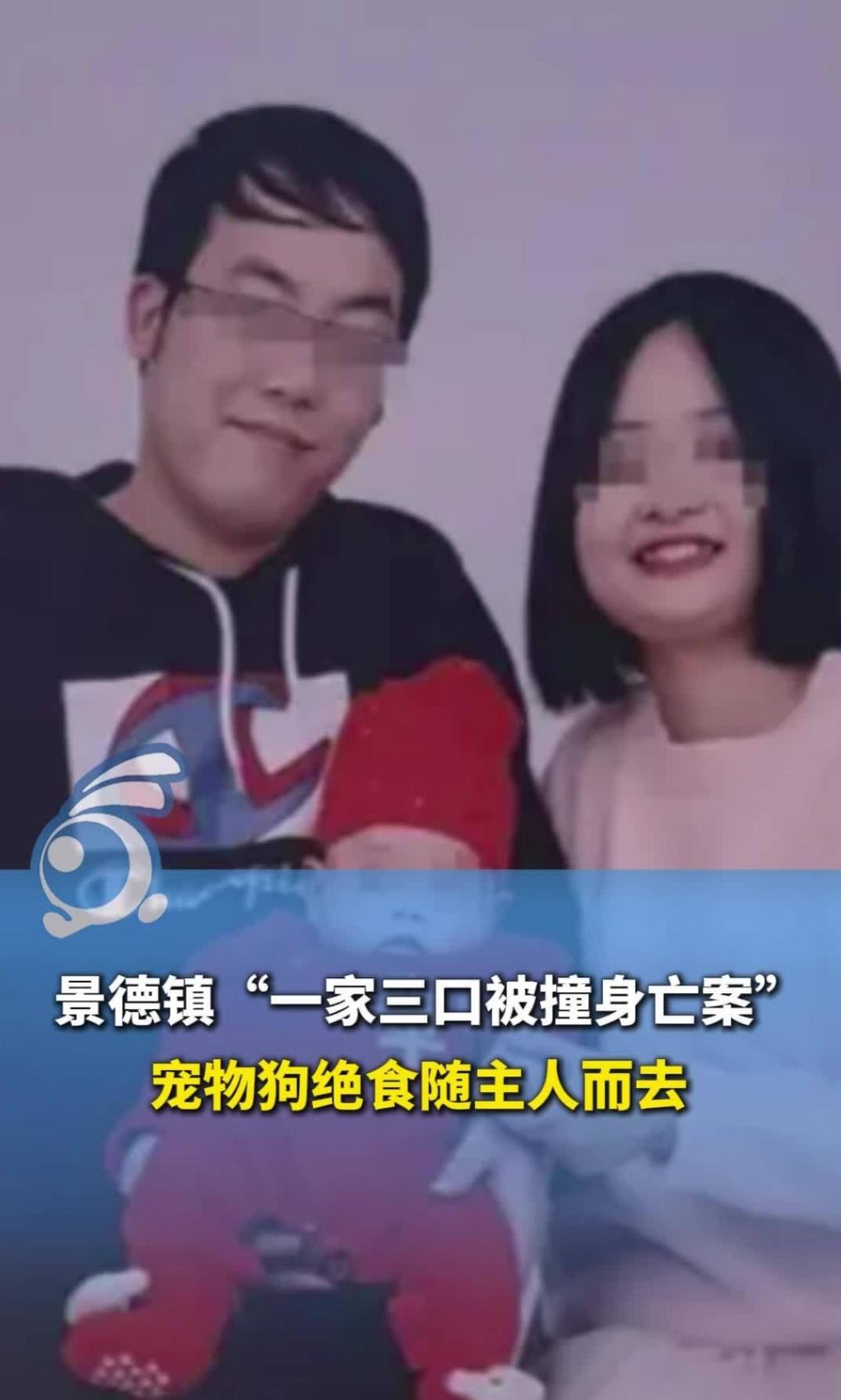 一条狗的绝食，竟成了对人性的无声控诉？江西一场车祸背后，究竟隐藏着怎样的社会悲剧