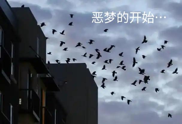 以色列内塔尼亚胡在中东的疯狂扩张，或给世界上的犹太人带来了灾难…