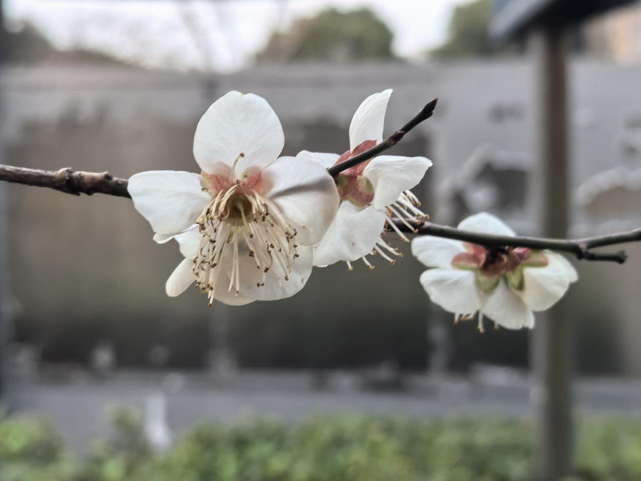 【热评】为什么就不能允许孩子做个凡人呢
孩子崩溃和父母争吵字字戳心

孩子崩溃与