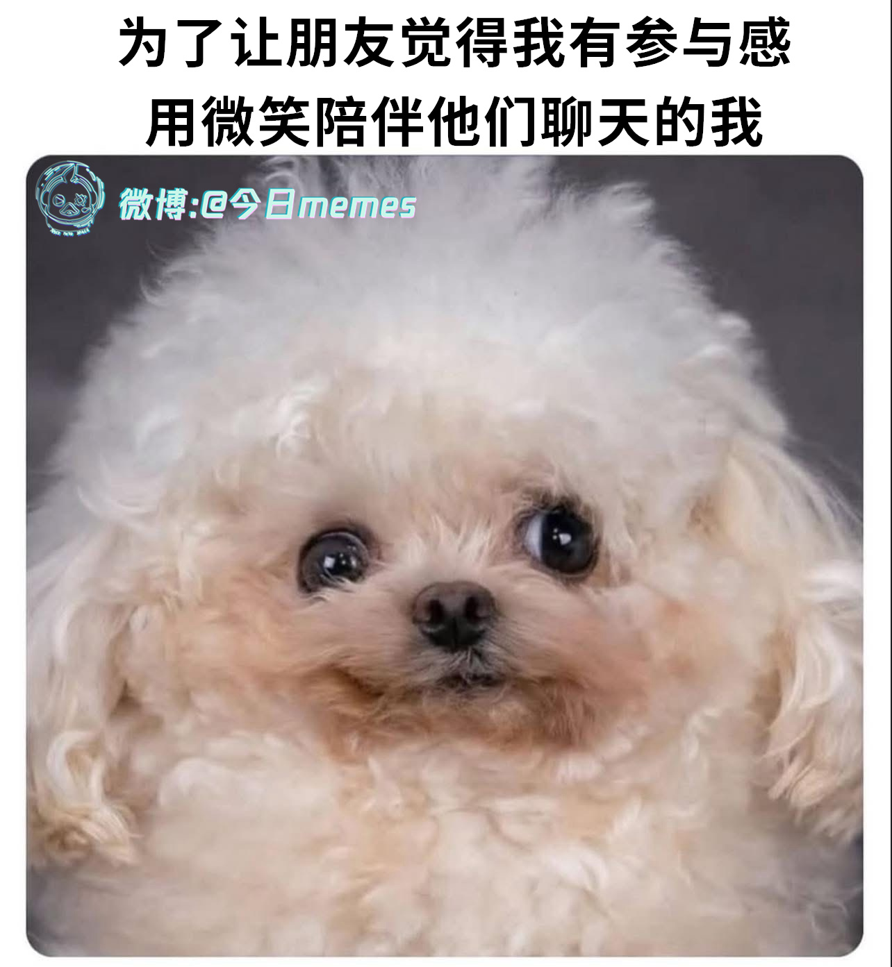 嚯（9gag）今日meme[超话] 今日memes ​​​