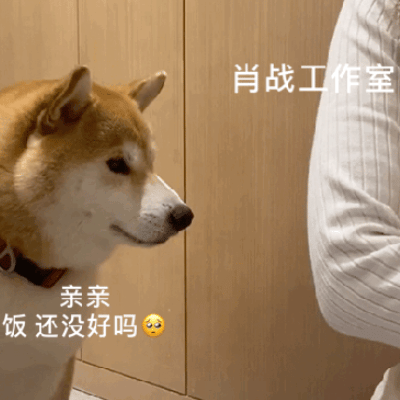 胖～ 