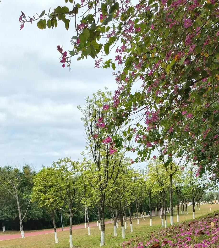 昨天，远嫁武汉的大姑子给我转了3000元，并说她今年要回娘家过年，让我多备点年货