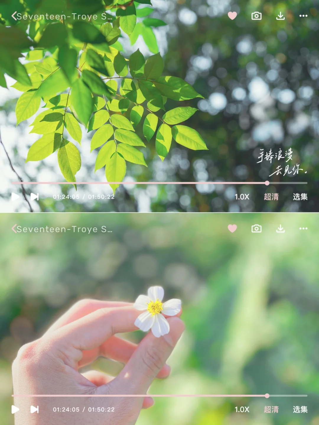 ✨这滤镜也太太太适合出游拍照了吧‼️