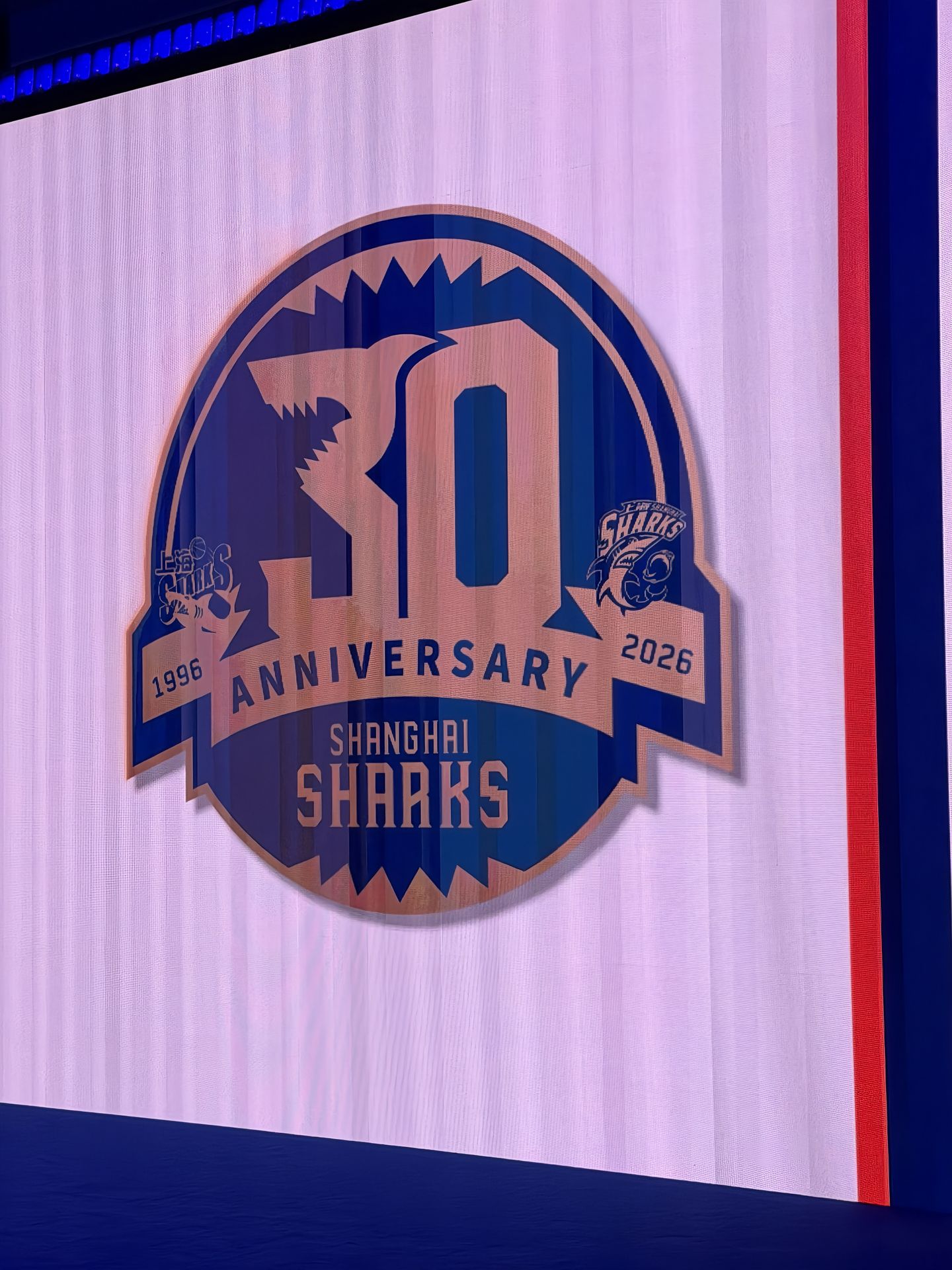 崔晓龙社媒分享图集：第五年！全新的开始，鲨向未来