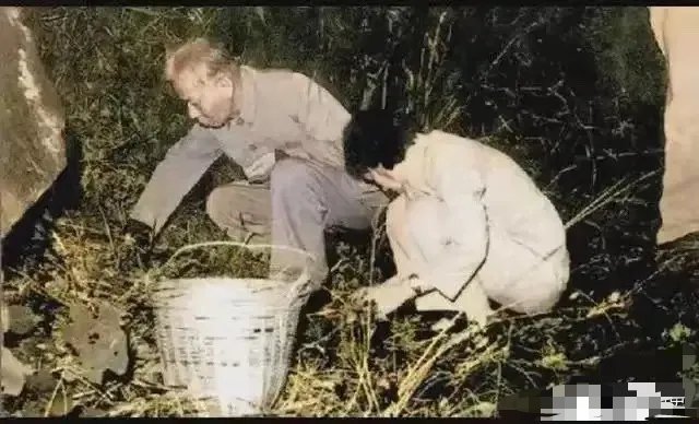 这张1961年的珍贵合影，记录了他回到湖南农村进行社会调查期间，刘少奇与夫人一同