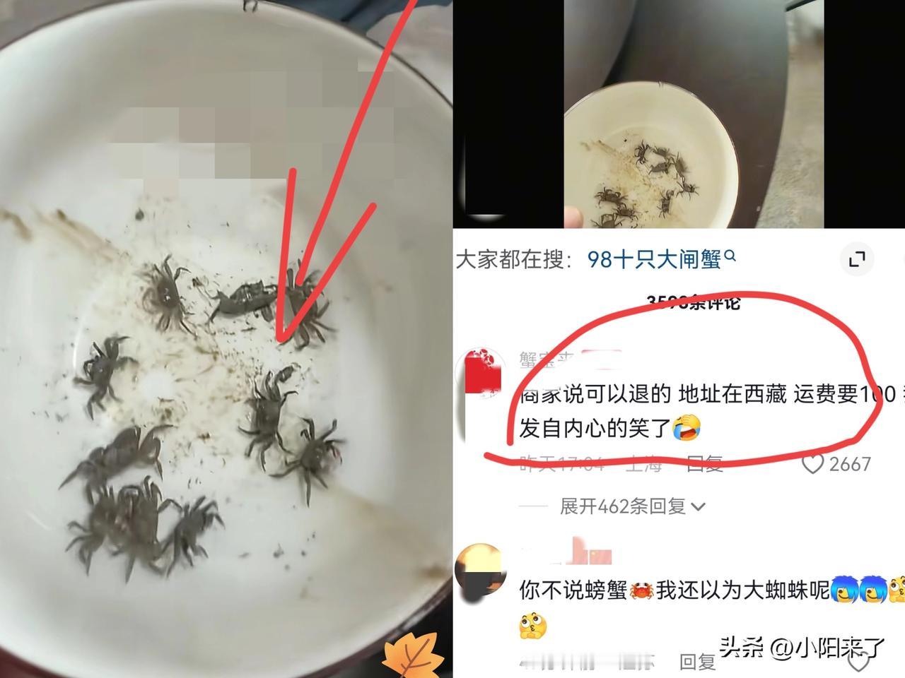 郭德纲和于谦也没想到，
自己编的相声竟然成真了！
​上海一男子在直播间花了98块