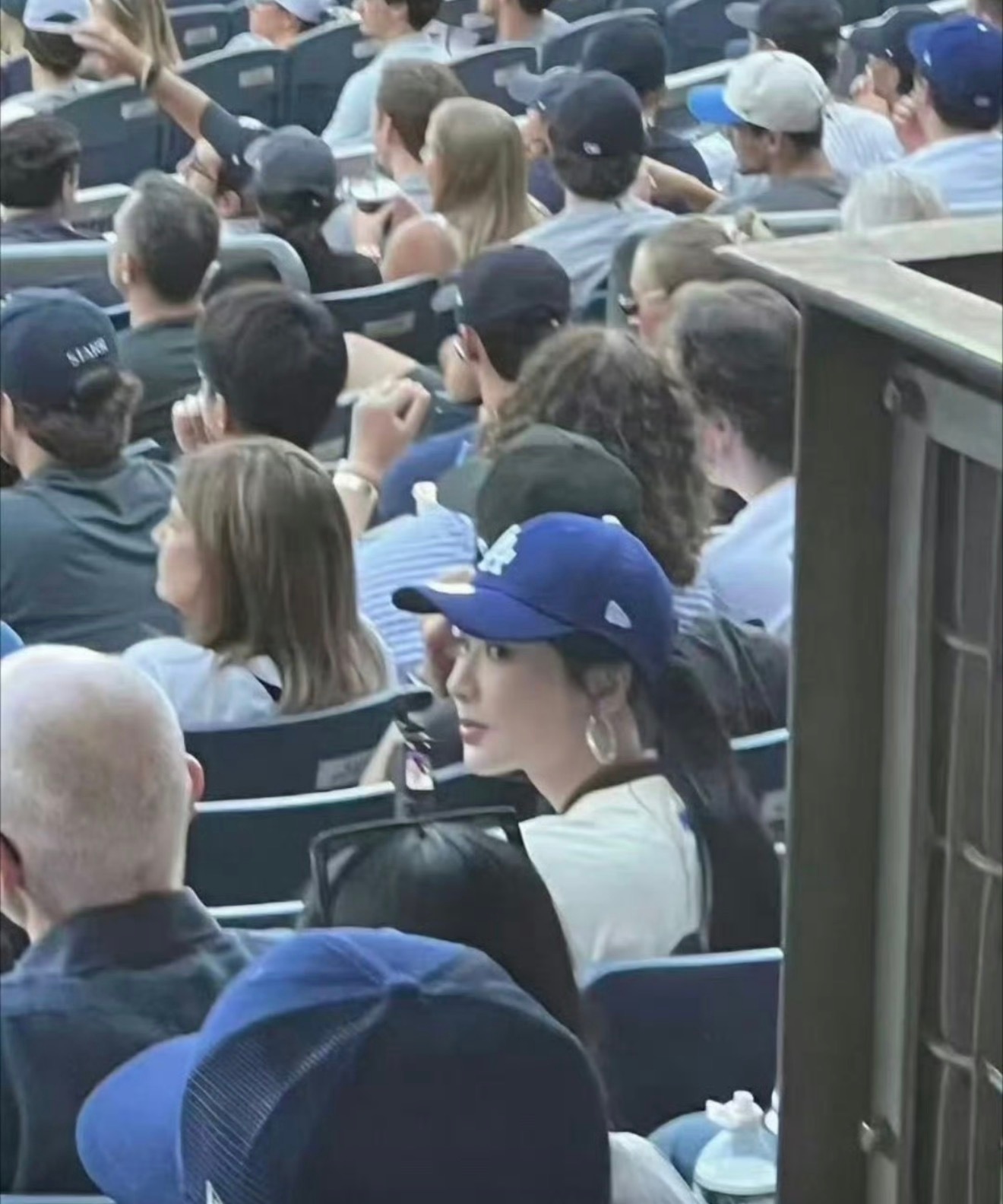 杨紫mlb看球比赛生图状态 