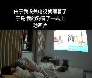 近日山东，女子睡觉忘关电视，就这样电视从晚播到第二天早上。等女子醒来后发现，眼前