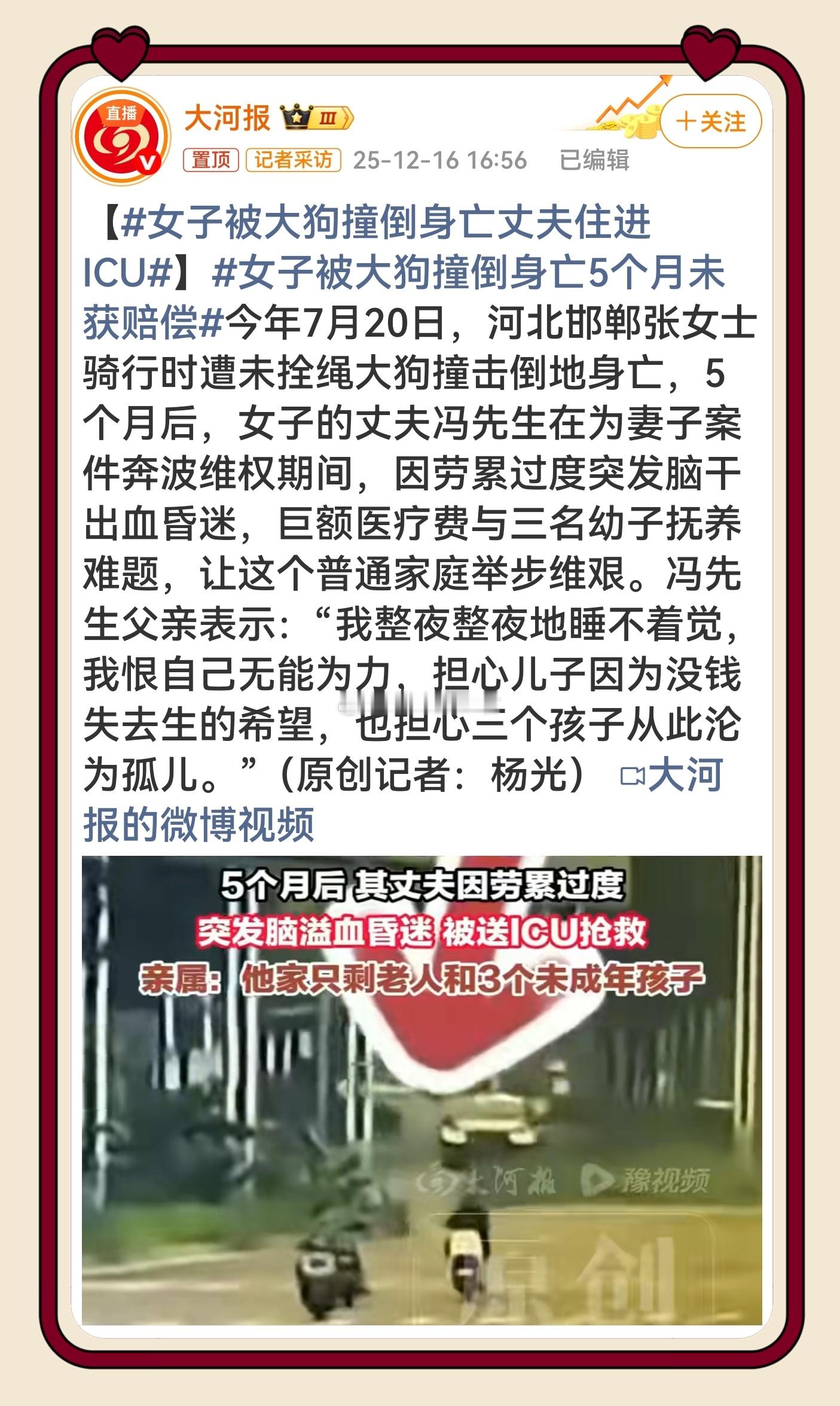 女子被大狗撞倒身亡丈夫住进ICU 狗主人不拴绳，夺走的是一条鲜活生命，更是整个家